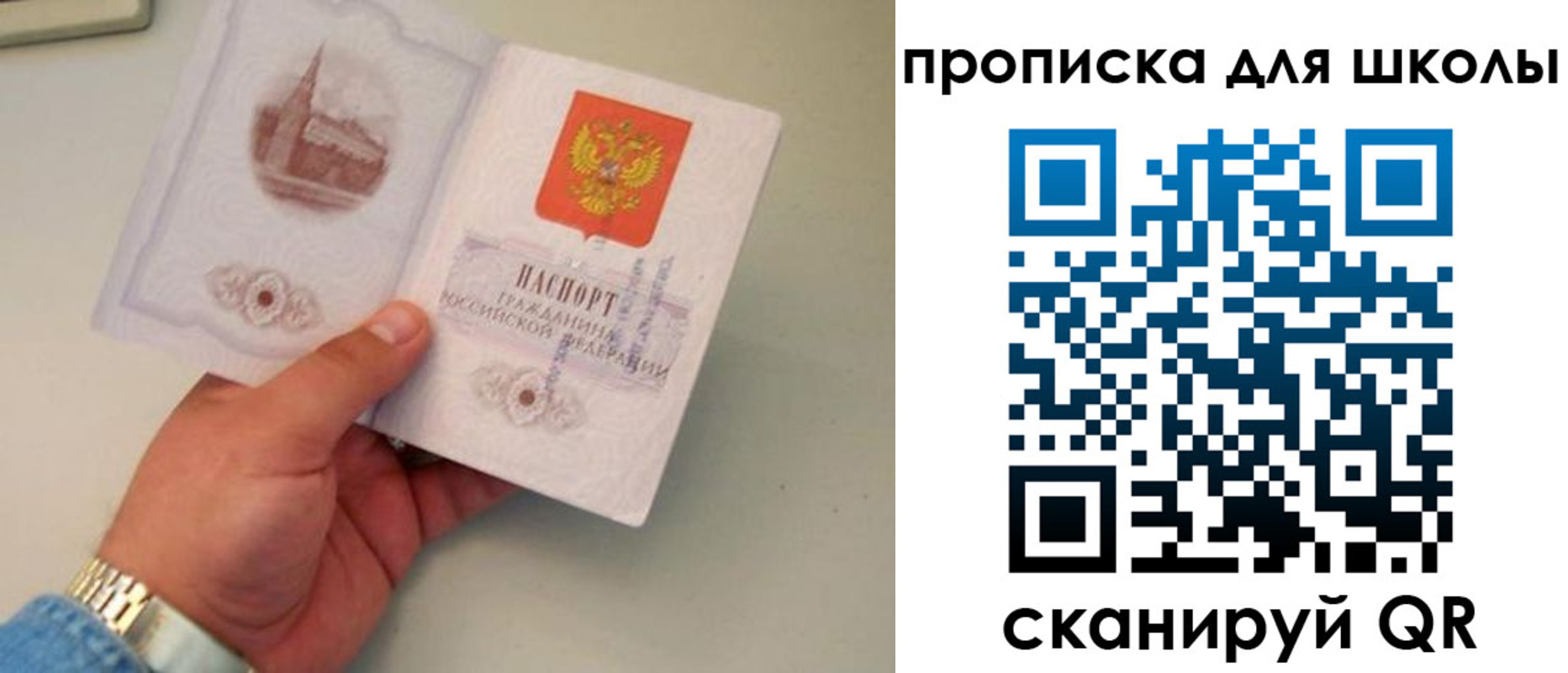 временная регистрация поиск в Змеиногорске